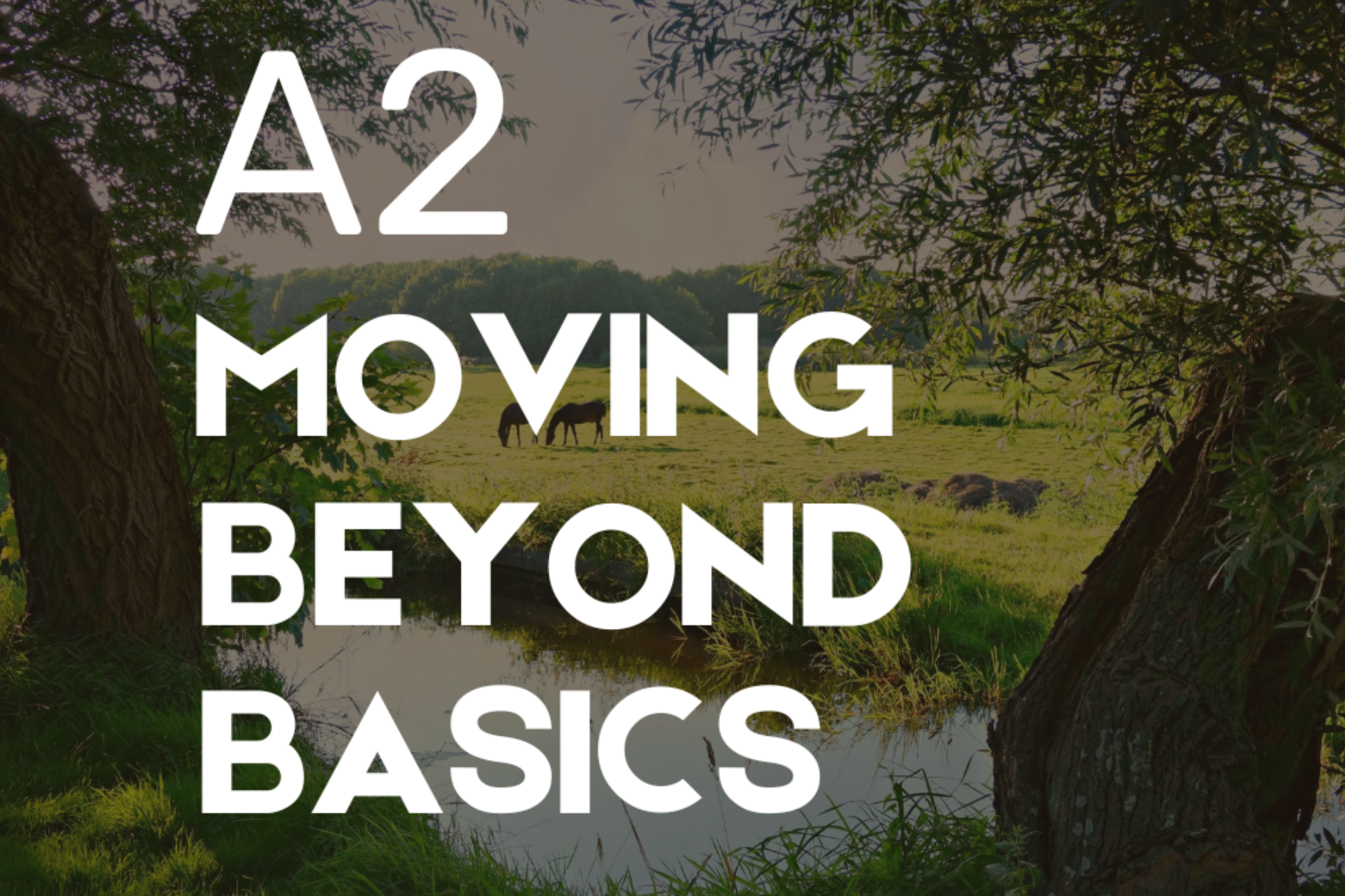 A2 Elementary course