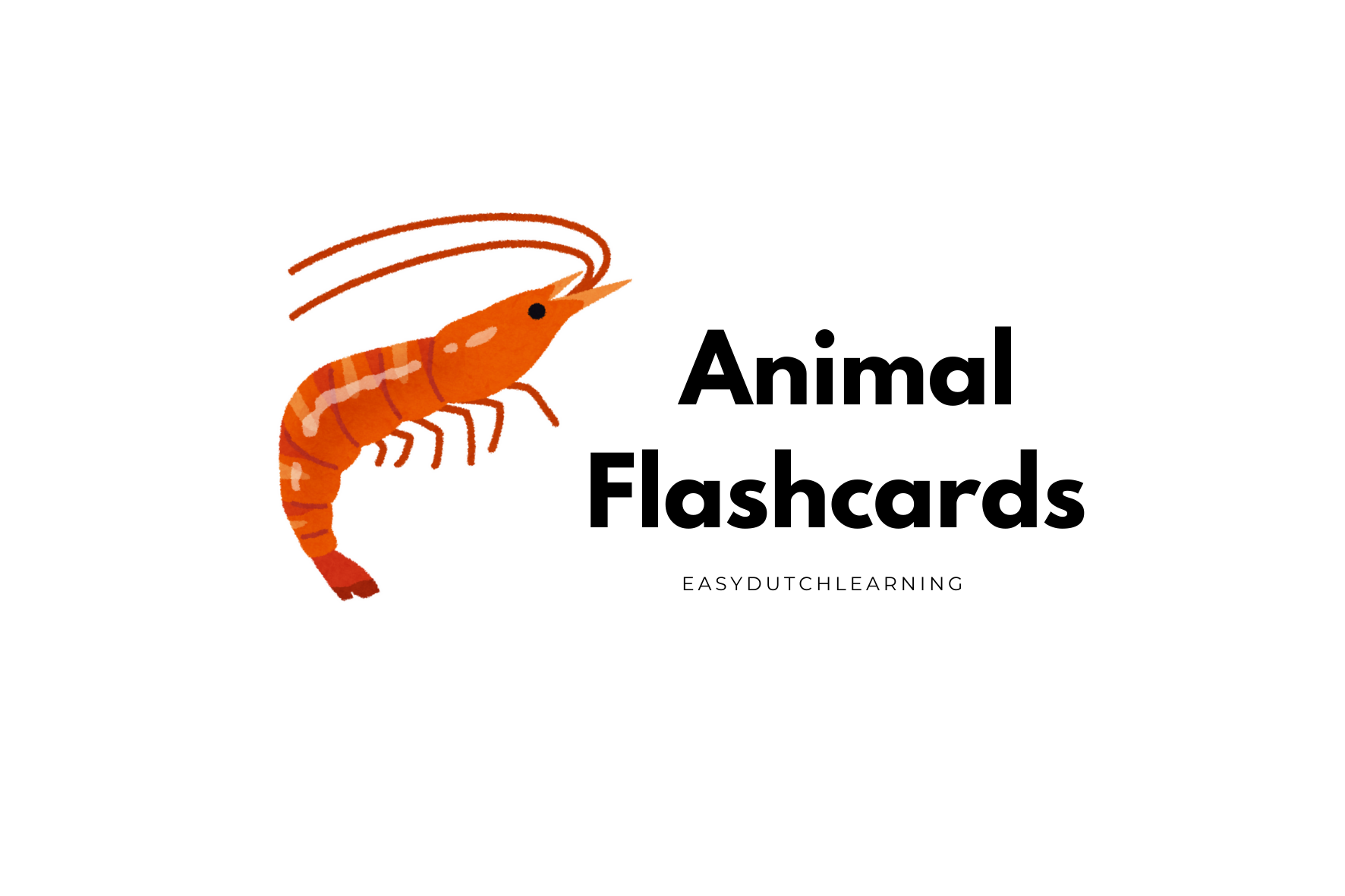 Animal flashcards